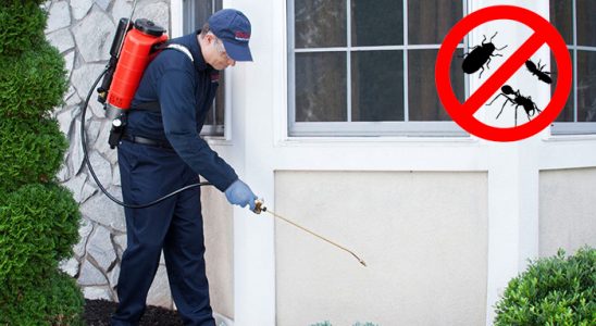 Geyve Fare İlaçlama böcek ilaçlama ve haşere kontrolü — ilaclama-tr.com